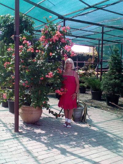  ,   , 63 ,  