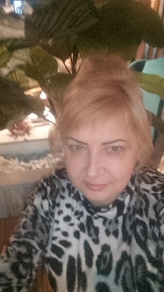  --,   , 56 ,   ,   , 