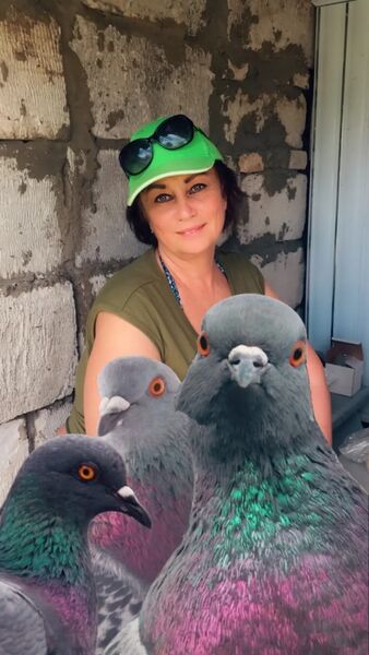  ,   , 58 ,   c 