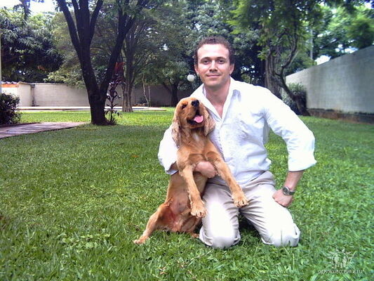  -,   Alfredo, 44 ,   ,   , c 