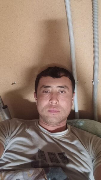  ,    , 33 ,   ,   