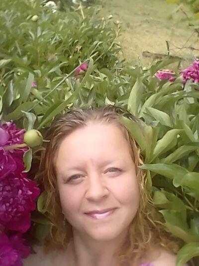  ,   , 43 ,     , 
