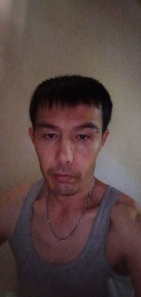  -,   , 41 ,   ,   , c 
