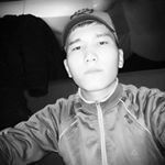  ,   Kolibri, 27 ,  