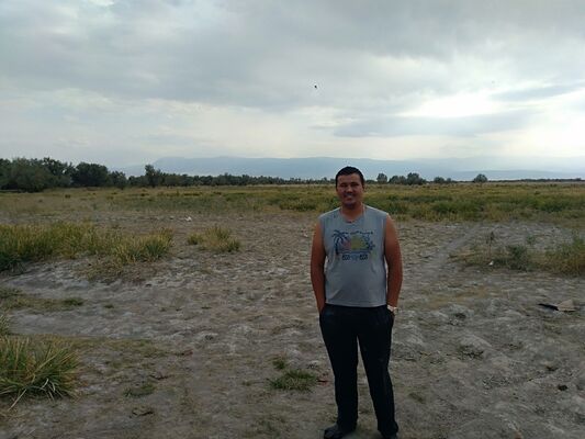  ,   Erbol, 37 ,   ,   , c 