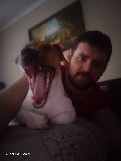  ,   , 38 ,   c 