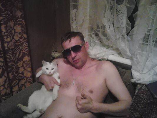  ,   , 41 ,  