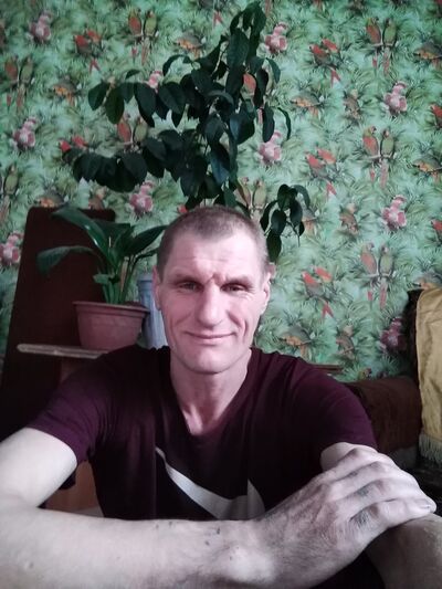  ,   , 48 ,  