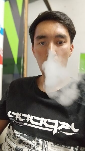  ,   Fresh Auto, 28 ,   ,   