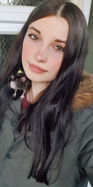  -,   , 26 ,   ,   , 