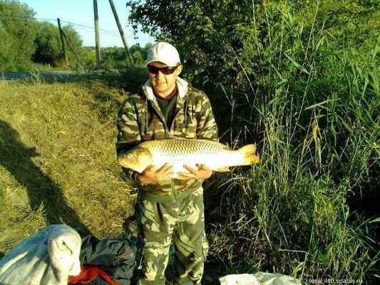  ,   Nik, 52 ,   ,   , c 