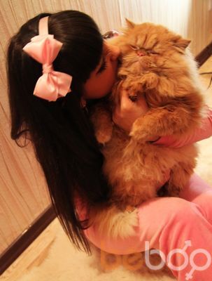  ,   Pafosnay, 33 ,   