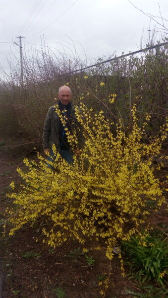  ,   Vitali, 63 ,     , c 