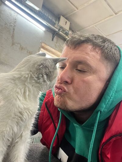  ,   , 40 ,   ,   , c , 