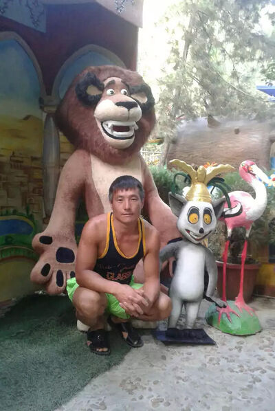  ,   , 43 ,   ,   
