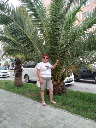  ,   , 66 ,   c 