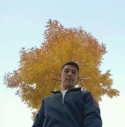  ,   Sanjar, 33 ,   ,   , c 