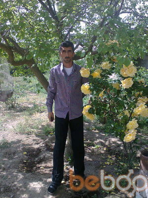  ,   Asad, 58 ,   