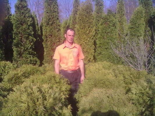 ,   Tudor, 42 ,   ,   , c 
