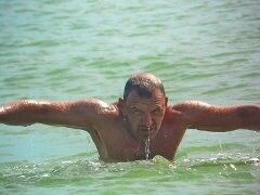 ,   SERGO, 50 ,   ,   , c 