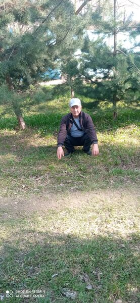  ,   Xiaomi, 48 ,   ,   