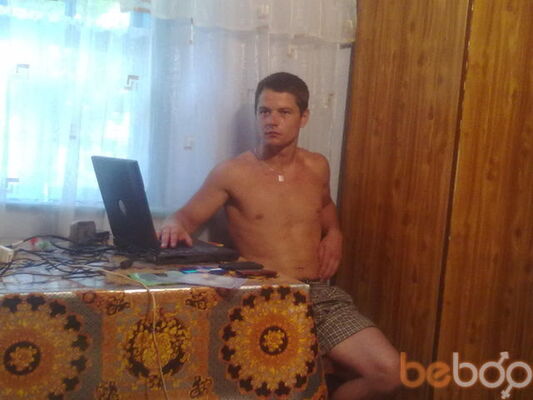  ,   Coleafilea, 40 ,   