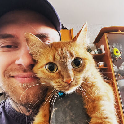  -,   , 29 ,   ,   