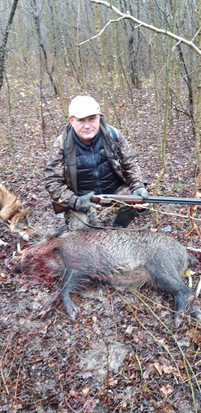  ,   , 63 ,   ,   , c 