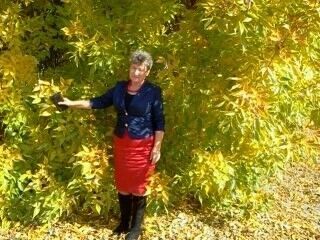  ,   , 70 ,  