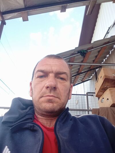  ,   , 41 ,   ,   