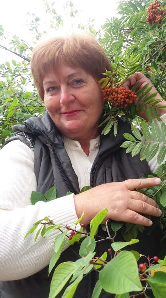  ,   , 61 ,   ,   , c 