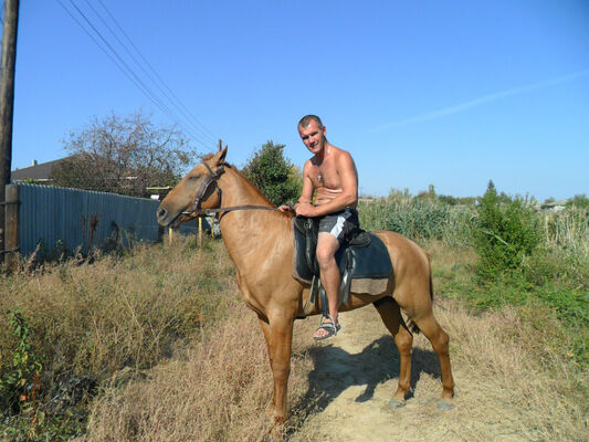  ,   Alexander, 54 ,   c , 