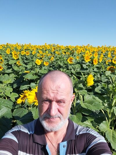  ,   , 62 ,   