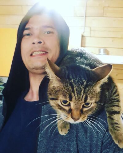  ,   , 35 ,   ,   , c , 