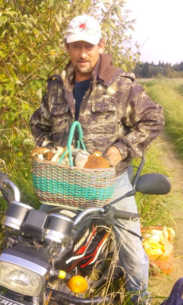  ,   , 61 ,   ,   , c 