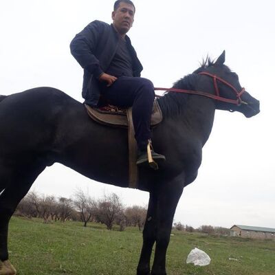  ,   , 48 ,     , c , 