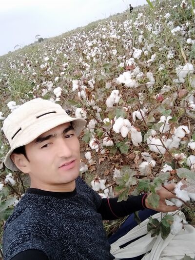  ,   , 31 ,   ,   , c , 