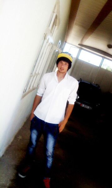  ,   , 33 ,   