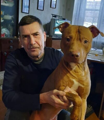  ,   , 60 ,   , 