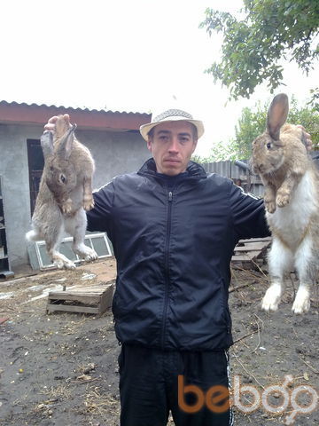  ,   Traian, 41 ,     , c 