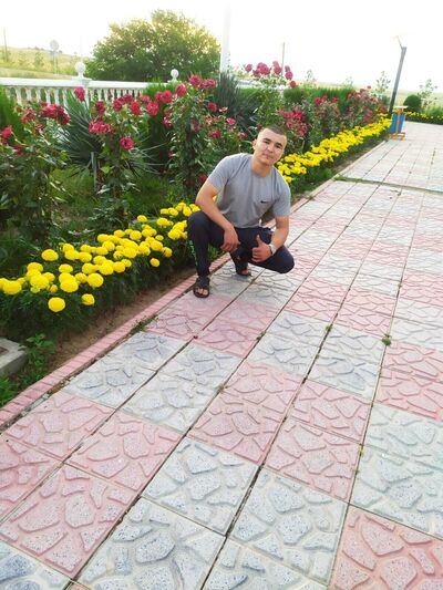  ,   Islamik, 31 ,   ,   