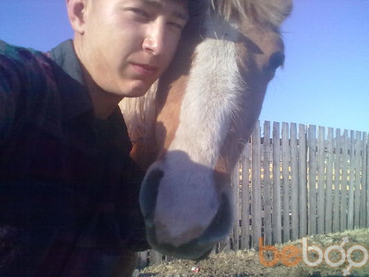  3326785  , 30 ,    -