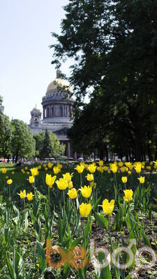 ���������� �����-���������, ���� ������� �����, 47 ���, ������������ ��� ������