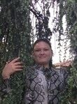  ,   , 43 ,  