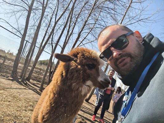  ,   , 41 ,   ,   , c 