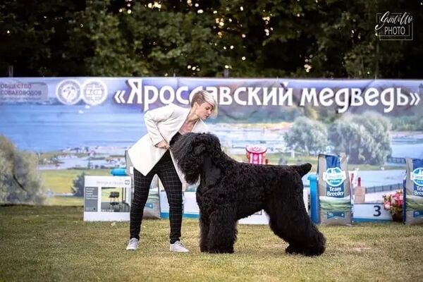  ,   Polina, 25 ,   ,   