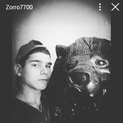  -,   , 28 ,   ,   