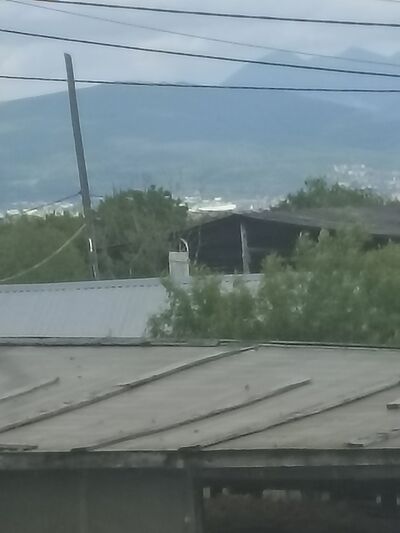  -,   , 50 ,   ,   