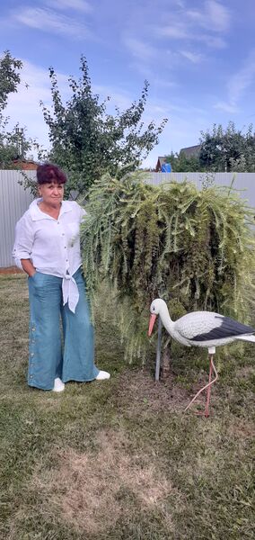  ,   , 66 ,   ,   , c 