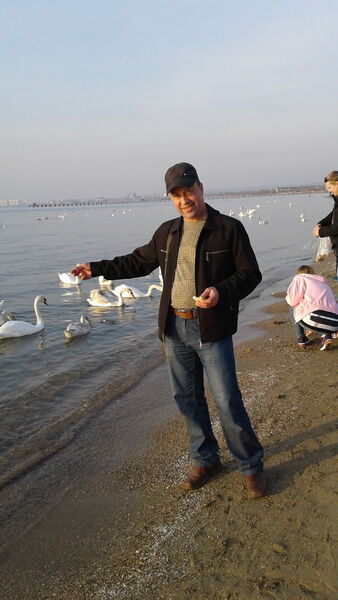  ,   , 55 ,   ,   , c 